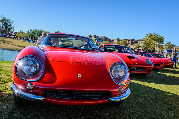 Concours in the Hills 2015 - February 07, 2015092501