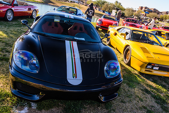 Concours in the Hills 2015 - February 07, 2015092632