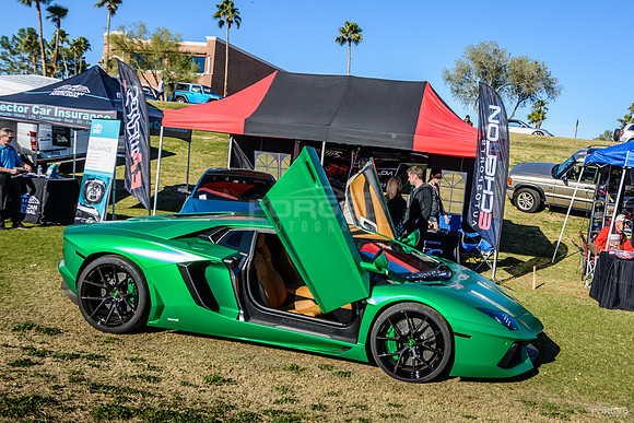 Concours in the Hills - February 13, 2016093725