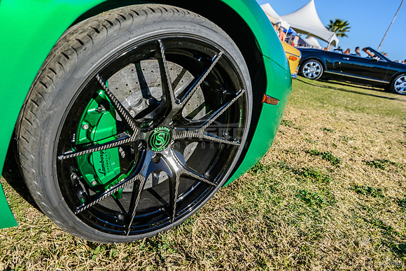 Concours in the Hills - February 13, 2016093324