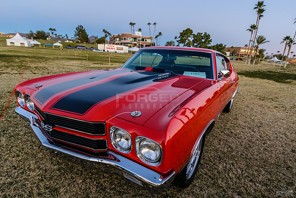 Concours in the Hills - February 13, 2016070259