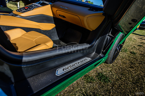 Concours in the Hills - February 13, 2016093743