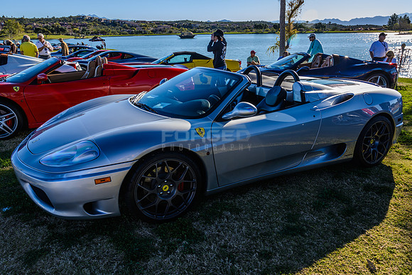 Concours in the Hills 2015 - February 07, 2015092652