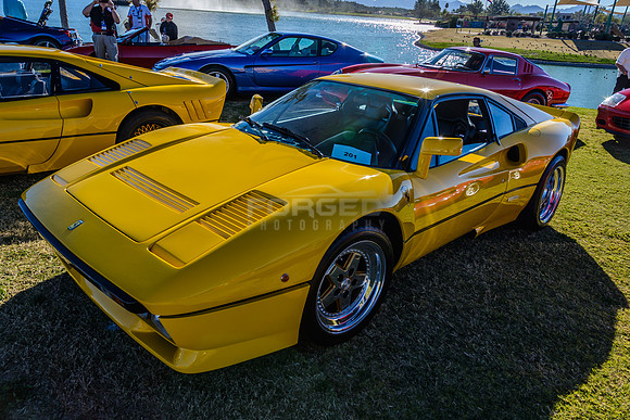 Concours in the Hills 2015 - February 07, 2015092344