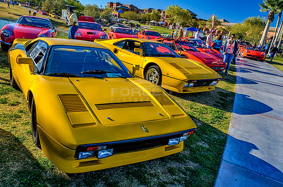 Concours in the Hills 2015 - February 07, 2015092308